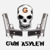 Gun_Asylem