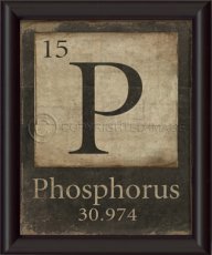 phos4rus