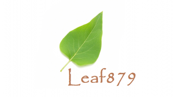 leaf879