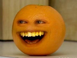 OrangeSponge