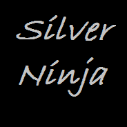 SilverNinja555